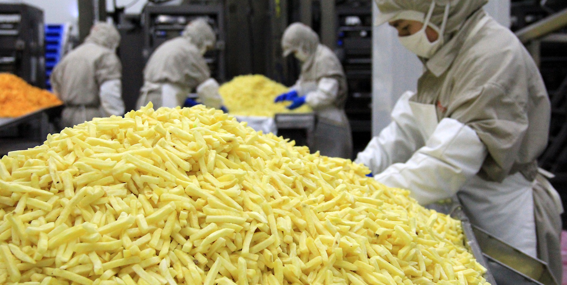 工廠(chǎng)介紹