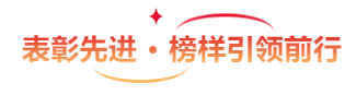 果蔬脆片OEM|VF薯條|法式薯條|薯條