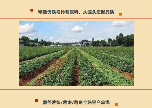 果蔬脆片OEM|VF薯?xiàng)l|法式薯?xiàng)l|薯?xiàng)l