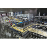 專注薯制品全產(chǎn)業(yè)鏈整合加工，凱達恒業(yè)獲黑蟻資本、建發(fā)新興近4億元首輪融資